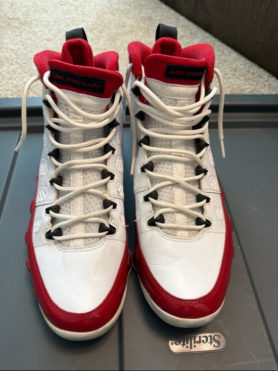 Jordan Other - Air Jordan 9s retro gym red